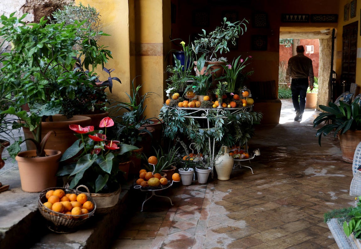 El impresionante Jardín del Palacio de Portocarrero de Palma del Río, en imágenes