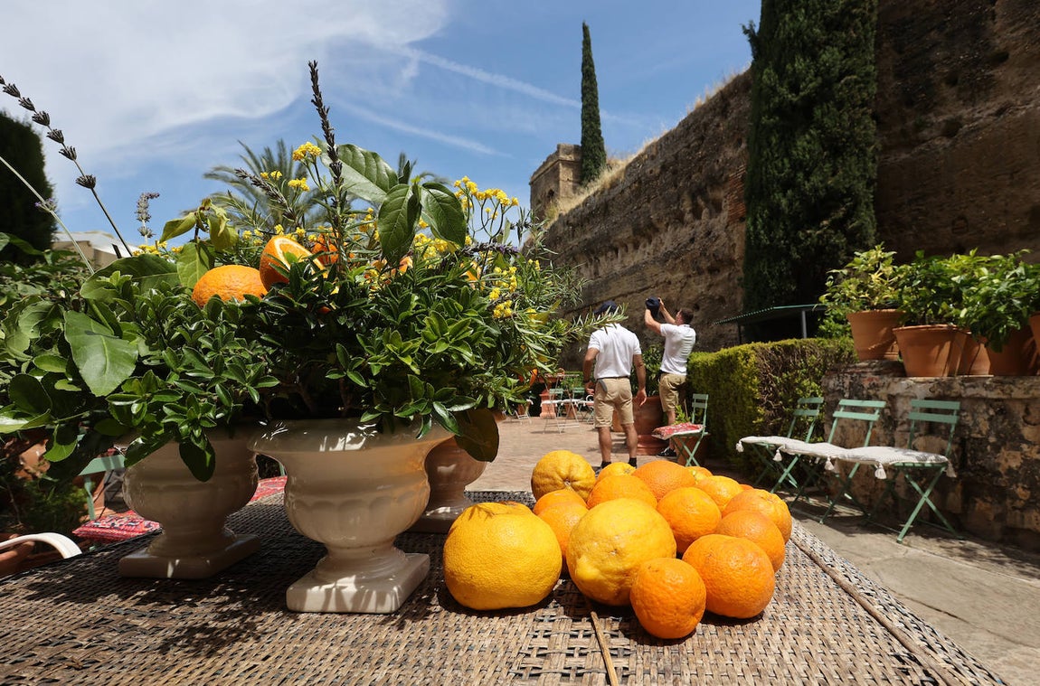 El impresionante Jardín del Palacio de Portocarrero de Palma del Río, en imágenes