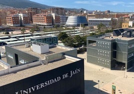 Investigadores de la Universidad de Jaén prueban los beneficios del AOVE en tratamientos de enfermedad renal