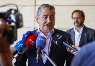 Antonio Sanz insinúa que la 'fontanera' del PSOE investigó la vida privada de Juanma Moreno «por orden de Moncloa y de Ferraz»