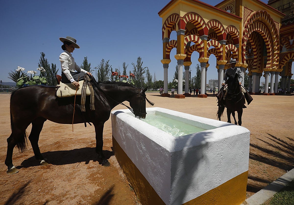 Un caballo bebe en la Feria de Córdoba