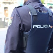 Matan a un perro de un disparo desde una vivienda cuando paseaba con su dueño en Castellón