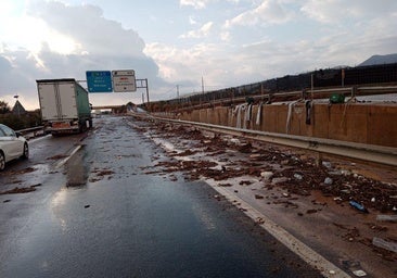El Gobierno sigue sin arreglar el tramo de la autovía del Mediterráneo que se llevó la dana en Almería siete meses después