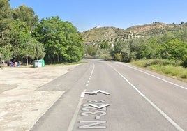Cinco heridos, entre ellos tres menores, al colisionar un vehículo con un jabalí