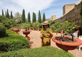 Un tesoro natural en Palma del Río guardado por murallas históricas