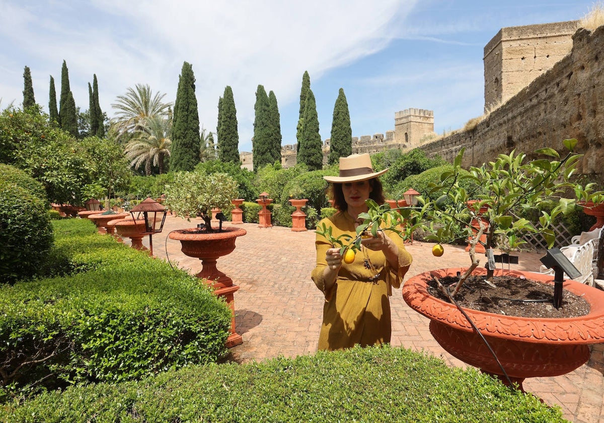 El impresionante Jardín del Palacio de Portocarrero de Palma del Río, en imágenes