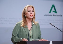 La Junta culpa al PSOE de Andalucía de que la Audiencia no le permita personarse en la causa del caso ERE por su «retirada»