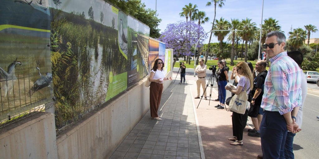 El Parque La Marjal acoge la inauguración de la exposición fotográfica «Humedales del mundo: de Alicante a las antípodas»