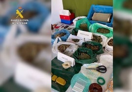 La Guardia Civil desarticula en Villarrubia de los Ojos un grupo criminal dedicado al cultivo y tráfico de drogas