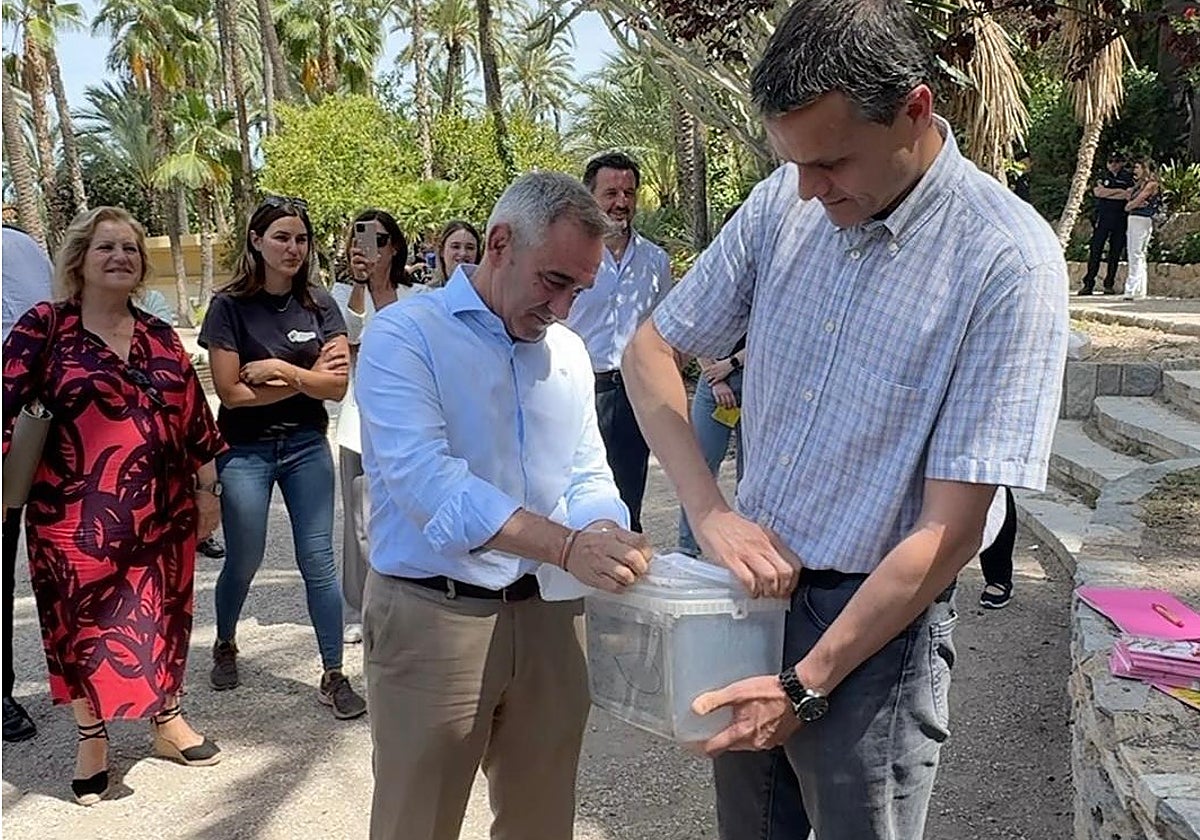 El conseller de Agricultura, Agua, Ganadería y Pesca, Miguel Barrachina, en una suelta de mosquitos tigre machos estériles en Elche