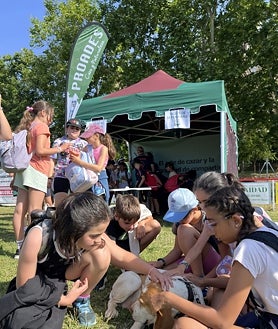 Imagen secundaria 2 - La Subasta de la Reserva de Caza de la Sierra registra récords en los precios de adjudicación de todas las categorías tipo trofeo
