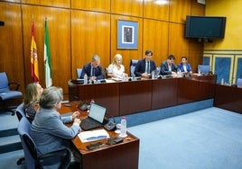 La Junta de Andalucía destinó 10 millones de euros para el fomento del patrocinio publicitario deportivo en los últimos cuatro años