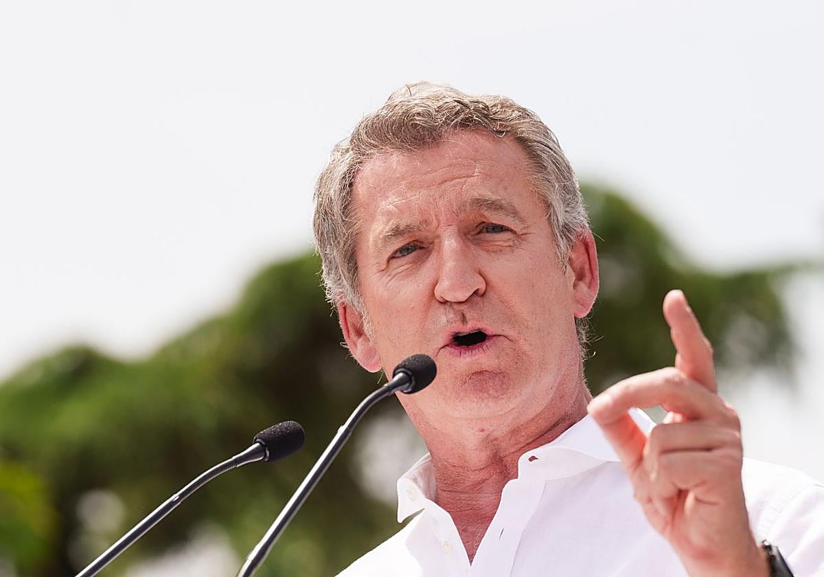 Alberto Núñez Feijóo, presidente del Partido Popular