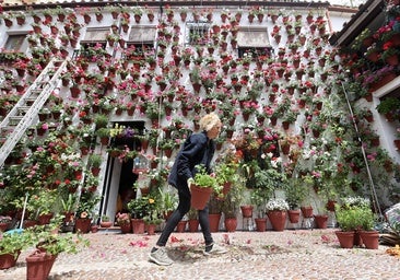 Las macetas de Córdoba se convertirán en los mejores 'chivatos' del ruido en la ciudad