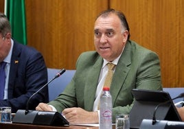 Andalucía redobla su acción exterior y pasa de destino turístico a comunidad con voz propia