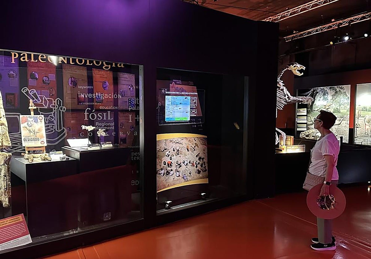 La exposición en la que se incluye el cráneo del estegosaurio