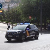 Un coche de la Policía Nacional, de patrulla por la Plaza del Triunfo de Granada