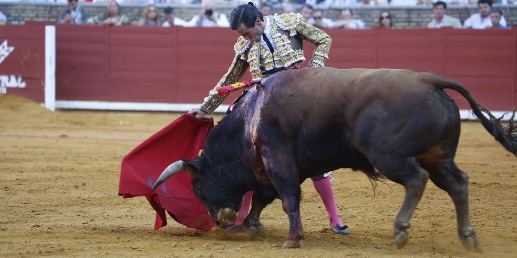 El Trofeo Taurino Manolete a la mejor faena de la Feria de Córdoba queda desierto