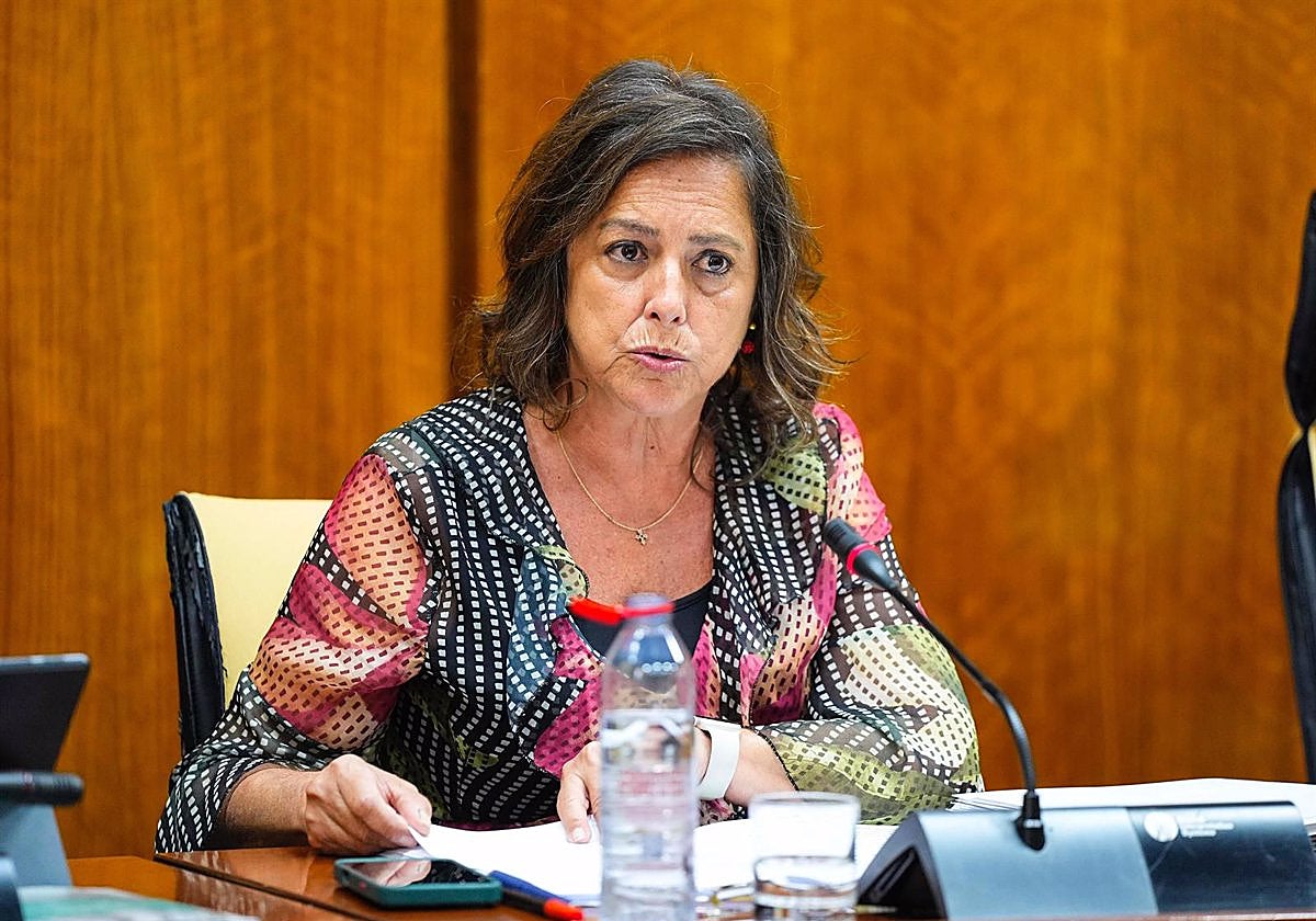 La consejera de Sostenibilidad y Medio Ambiente de la Junta de Andalucía, Catalina García, durante la comisión parlamentaria