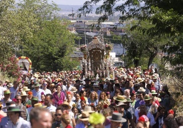 Pelea multitudinaria en el camino al Rocío de la hermandad de Triana en Bormujos