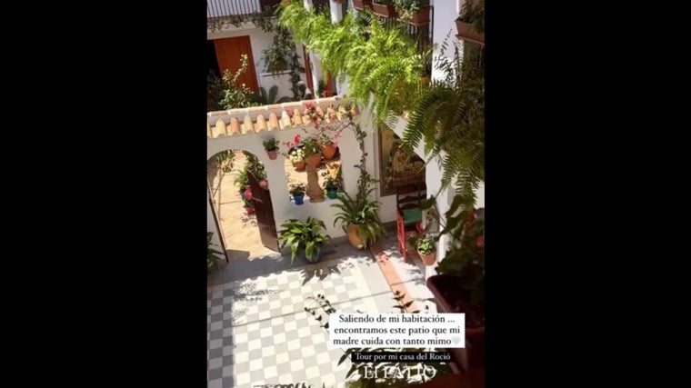 Patio de la casa