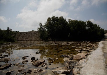 Restauración del río Antas