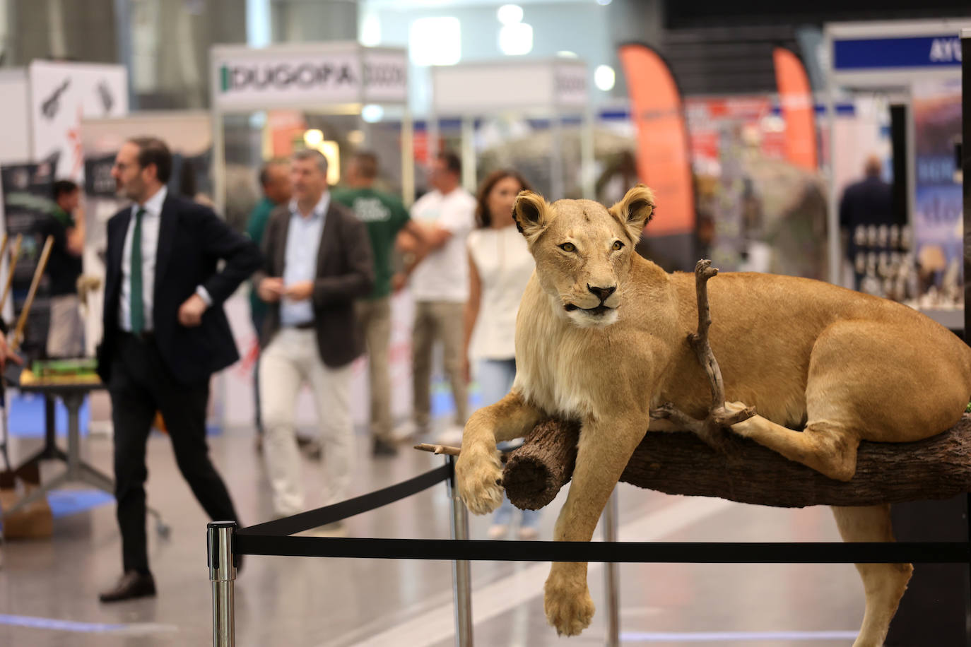 La inauguración de Intercaza en Córdoba, en imágenes