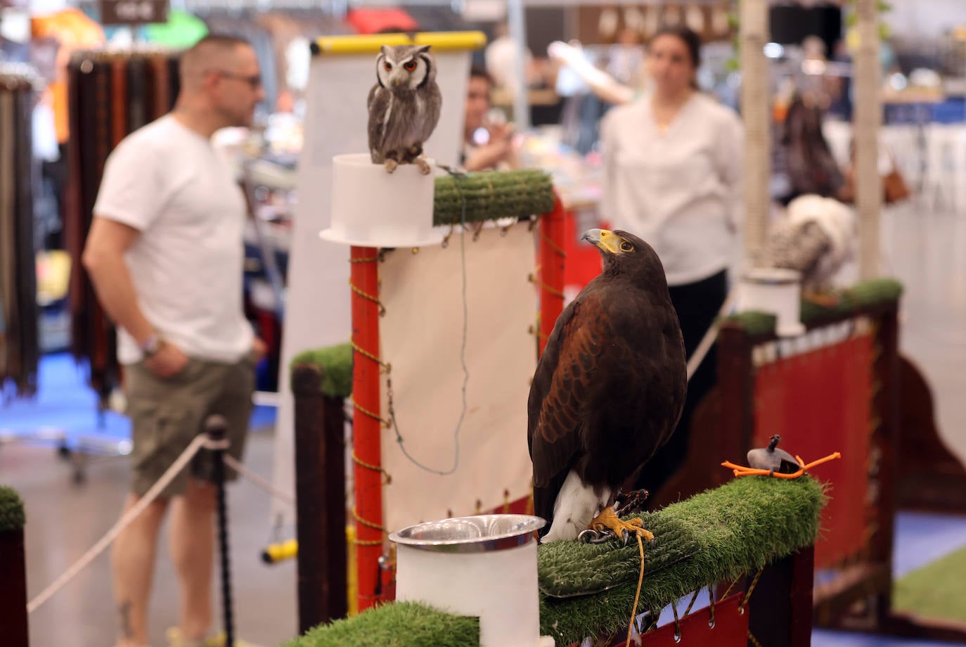 La inauguración de Intercaza en Córdoba, en imágenes