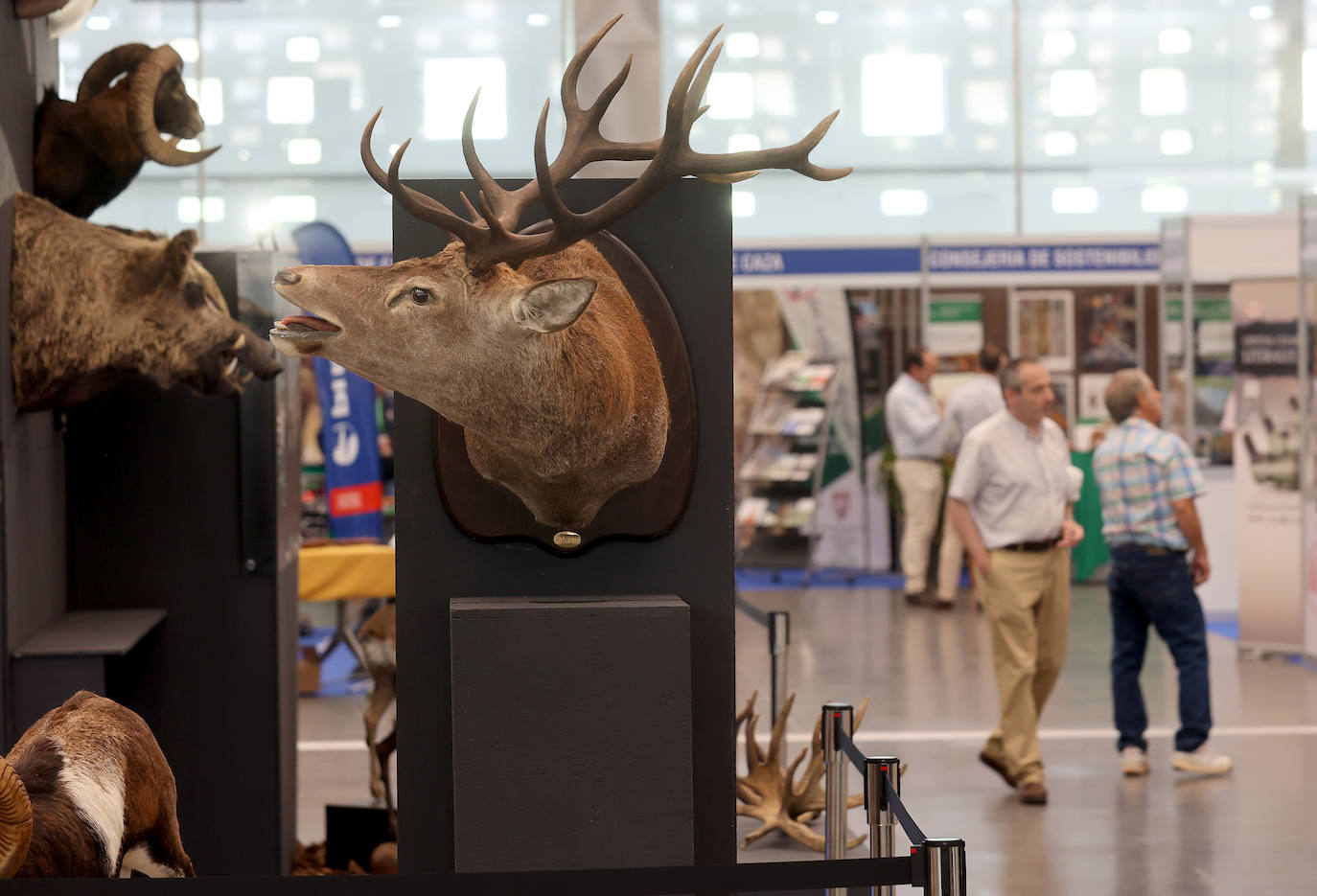 La inauguración de Intercaza en Córdoba, en imágenes