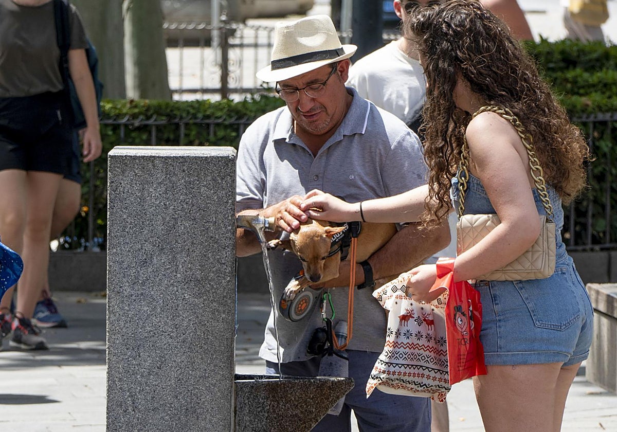 Un hombre refresca a un perro en una fuente de Sevilla en la pasada ola de calor