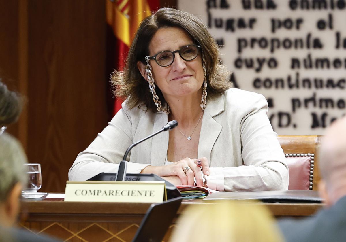 Teresa Ribera tacha a Aldama de «pícaro» y niega cualquier relación en los negocios del comisionista