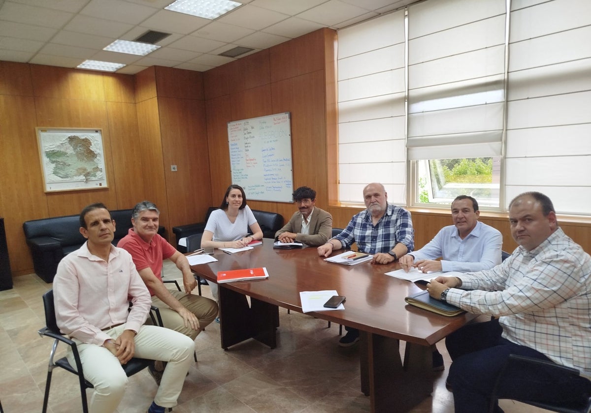 La patronal del taxi, encabezada por su presidente, Manuel García-Naharro, se reunió con la directora general de Transportes y Movilidad de la Junta, Lucía Balmaseda