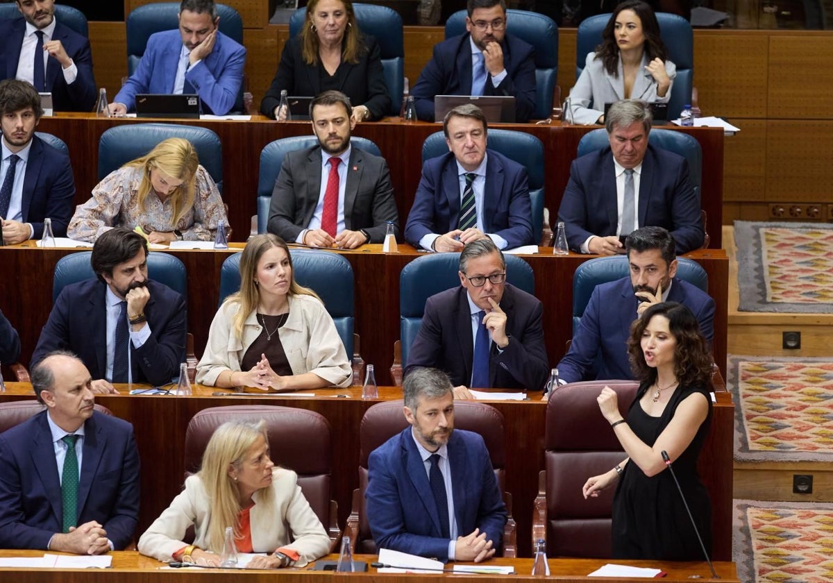 Isabel Díaz Ayuso, en el Pleno de la Asamblea de Madrid
