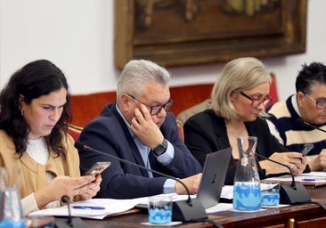 El portavoz del PSOE en Diputación apoya «incondicionalmente» a la diputada investigada por maltratar a su marido