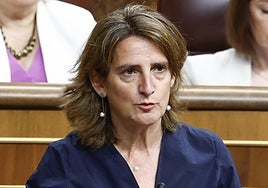 Teresa Ribera comparece en el Senado, en directo: declaraciones sobre el caso Koldo y Aldama y última hora hoy
