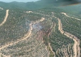Declarado un incendio forestal en Santa Bárbara, Huelva