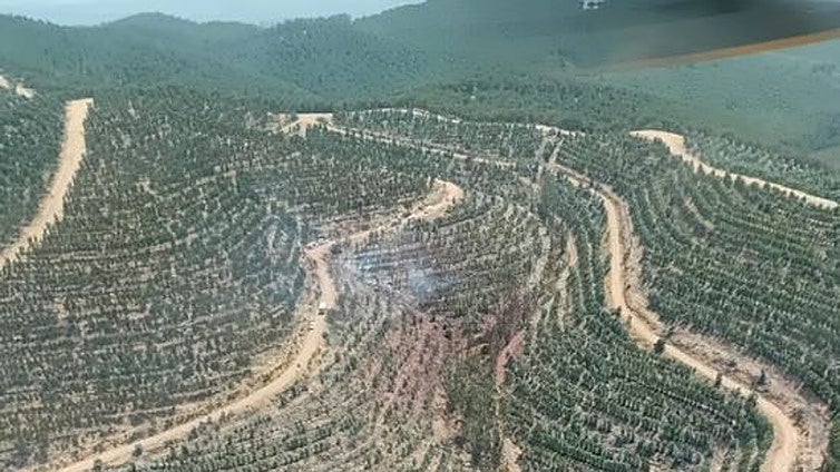 Declarado un incendio forestal en Santa Bárbara, Huelva