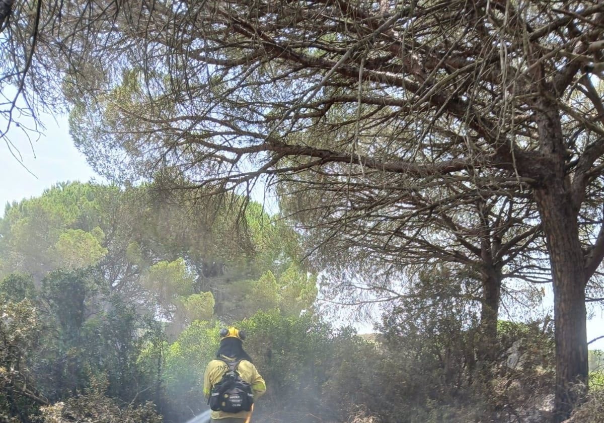 Un bombero sofocando el incendio de Puerto Real (Cádiz)