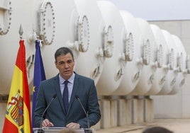 Agricultores acusan al Gobierno de «incumplir la ley» con la planta solar de la desaladora de Torrevieja