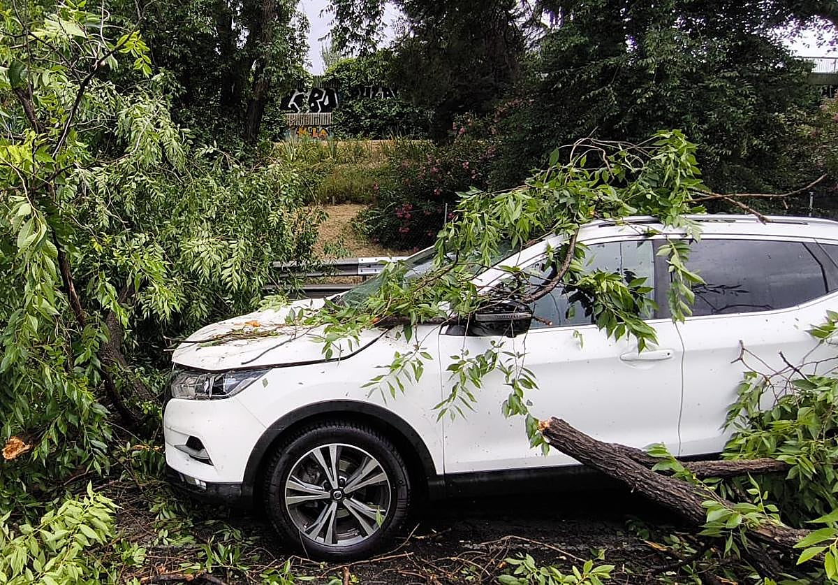 Un árbol ha caído este miércoles sobre un coche que circulaba por la M-30