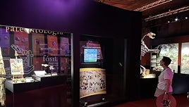 El cráneo de estegosaurio más completo de Europa ya puede verse en el Museo Aragonés de Paleontología en Dinópolis