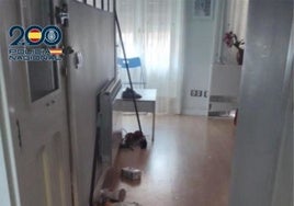 Seis detenidos y cuatro investigados tras dejar a su paso enchufes arrancados y colchones meados en pisos turísticos de Valladolid