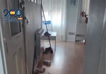 Seis detenidos y cuatro investigados tras dejar a su paso enchufes arrancados y colchones meados en pisos turísticos de Valladolid