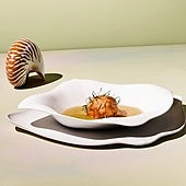 Una vajilla inspirada en especies amenazadas une diseño y conservación marina