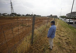 Restos arqueológicos en la Ronda Norte de Córdoba: Bellido confía en que «habrá una solución» para hacerla