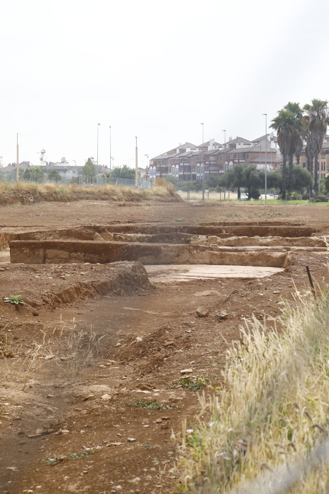 Los restos arqueológicos hallados en la futura Ronda Norte de Córdoba, en imágenes