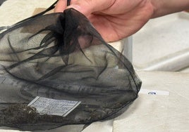 Salud descarta la circulación del virus del Nilo durante la última semana en Andalucía