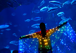 De la jungla africana al Cantábrico: tres experiencias para reconectar