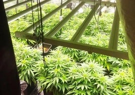 Juzgan este martes a tres acusados de tráfico de drogas en Talavera de la Reina