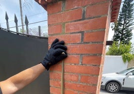 Atrapan una serpiente de más de un metro en un garaje de Algeciras